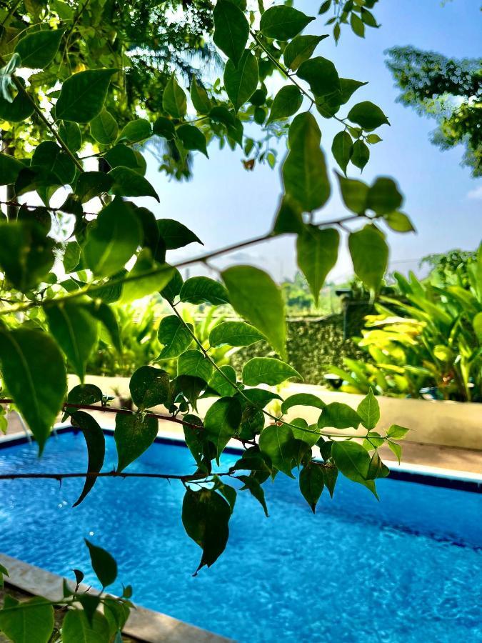 Residence Bertille Abidjan Cocody Zewnętrze zdjęcie